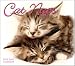 Cat Naps 2010 Desk Calendar