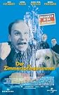 Der Zimmerspringbrunnen
