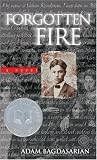 Forgotten Fire