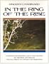 In the Ring of the Rise: A Startling Look at Trout Behavior and Riseforms