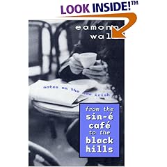 From the Sin-E Cafe to the Black Hills: Notes on the New Irish