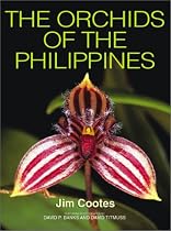 The Orchids of the Philippines