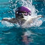 Meerkat Mayhem Swimming Card