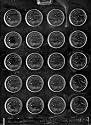 SMALL COINS Miscellaneous Candy Mold Chocolate