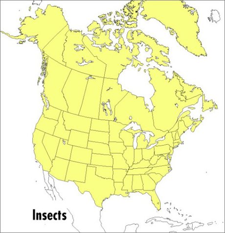 A Field Guide to Insects under Animals in The Books Store