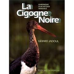 La Cigogne noire