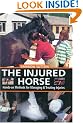 The Injured Horse