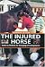 Animal Healing - Equine