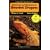 General Care and Maintenance of Bearded Dragons (Reptile Care)