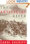 The Artificial River: The Erie Canal and the Paradox of Progress, 1817-1862