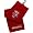 Wisconsin Badgers