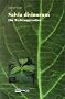 Salvia Divinorum - Der Wahrsagesalbei