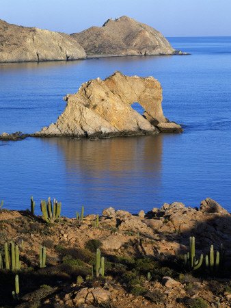 A View of Cardons, Elephant Rock and Catalina Island Photographic Poster Print by Jeff Foott, 30x40