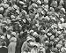 Photographic Prints of A sea of WI members and their hats at a Royal Garden Party from Mary Evans