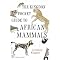 Bird & Wildlife Guides to Africa
