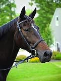 Perri's Leather Padded English Bridle