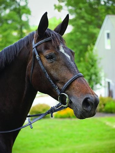 Perri's Leather Padded English Bridle