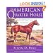 The American Quarter Horse