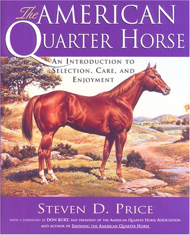 Quarter Horse