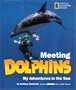 Meeting Dolphins