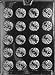 SWIRL MINTS All Occasions Candy Mold Chocolate