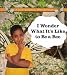 Book I Wonder What It's Like to Be a Bee (Hovanec, Erin M. Life Science Wonder Series.)