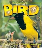 The Life Cycle of a Bird (The Life Cycle)