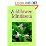 Wildflowers of Minnesota: Field Guide