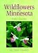 Wildflowers of Minnesota: Field Guide