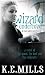 Wizard Undercover: The Rogue Agent sequence