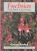 Fuchsias: The New Cultivars