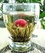 Butterfly Flowering Tea Bulb - 4 Pcs.