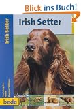 Irish Setter, Praxisratgeber