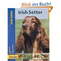 Irish Setter, Praxisratgeber