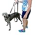 Q Global Dog Leash - Pet Supplies for Dogs Leashes - Dog Leash 2 Handles - 1 Leash 2 Handles - Dog Training Leash - Extra Strong Large Dogs