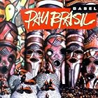 Babel by Pau Brasil