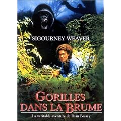 Gorilles dans la brume