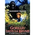 Gorilles dans la brume