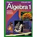 Algebra 1 Volume One: Integration Applications Connections