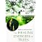 Trees and spirit