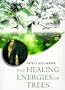 Healing Energies of Trees