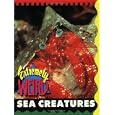Fantastic Sea Creatures Puffin Factfinders