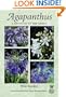 Agapanthus: A Revision of the Genus