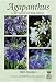 Book Agapanthus: A Revision of the Genus