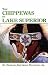 The Chippewas of Lake Superior (Civilization of the American Indian Series)