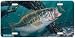 No Trespassing - Bass Fish Art Print - License Plate by Randy McGovern from Airstrike...