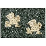 Anderson Jewelry Notre Dame Fighting Irish 1/2 10K Gold Post Earrings