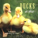 Ducks At Play