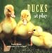 Book Ducks At Play