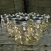 Battery Fairy Lights for Mason Jars, Center Pieces, Craft and Flower Arrangements